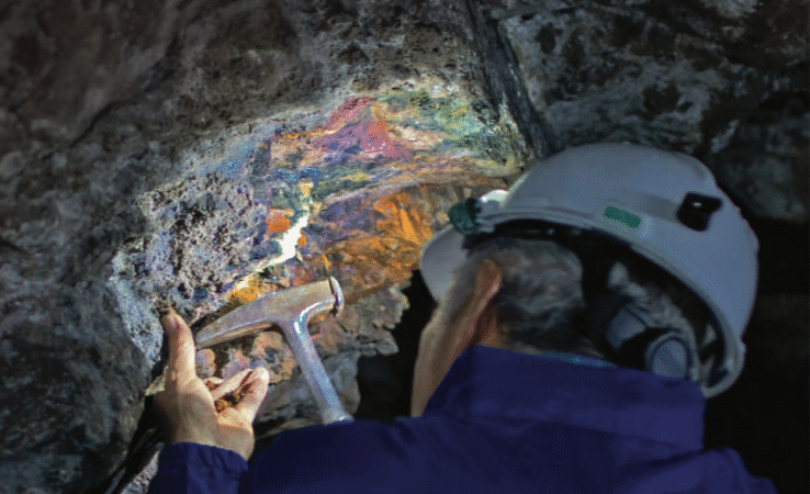 Critical Minerals & REE